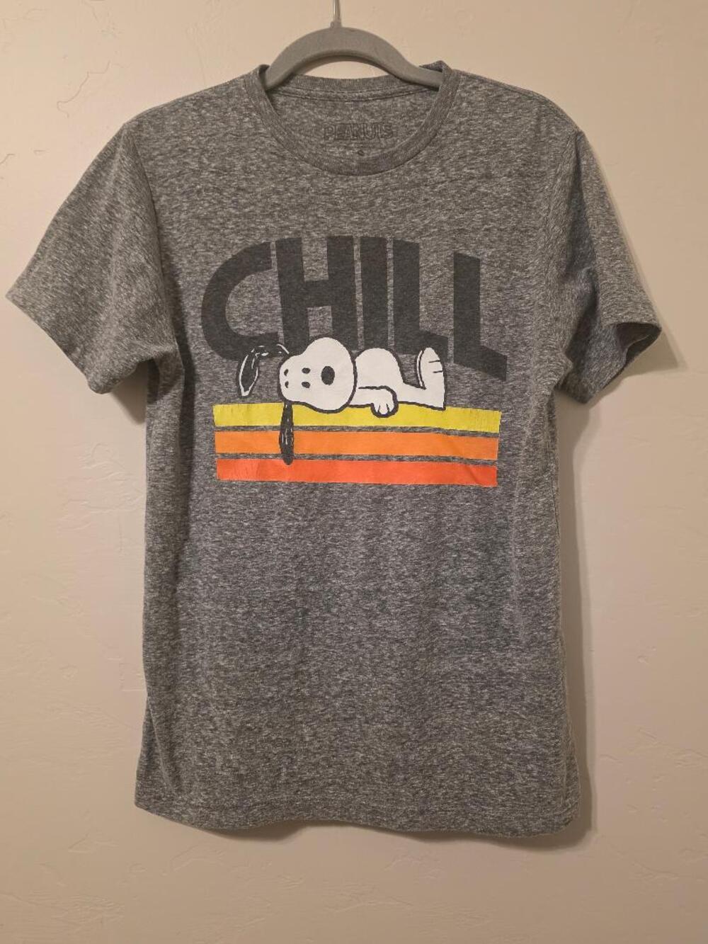 Peanuts Snoopy Chill Graphic Tee Retro Stripe Gray Shirt Size S